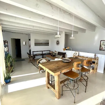 Nid Douillet Sur Roof *