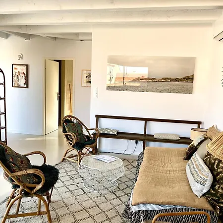 Nid Douillet Sur Roof Apartment Perpignan