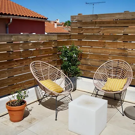 Nid Douillet Sur Roof *