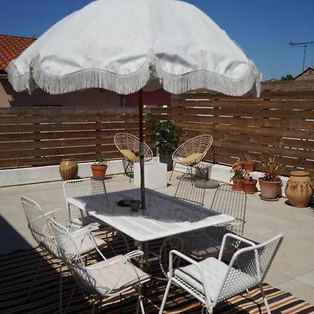 Nid Douillet Sur Roof * Perpignan
