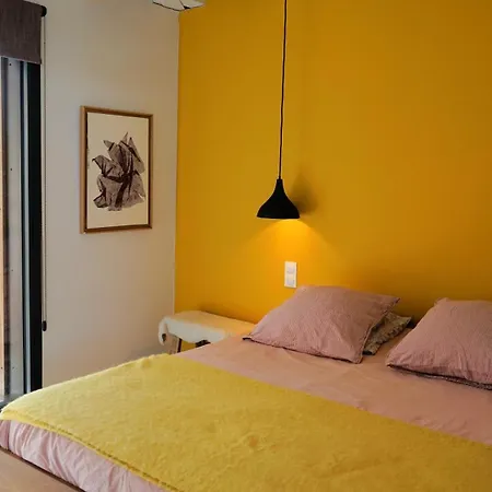 Nid Douillet Sur Roof Apartment Perpignan