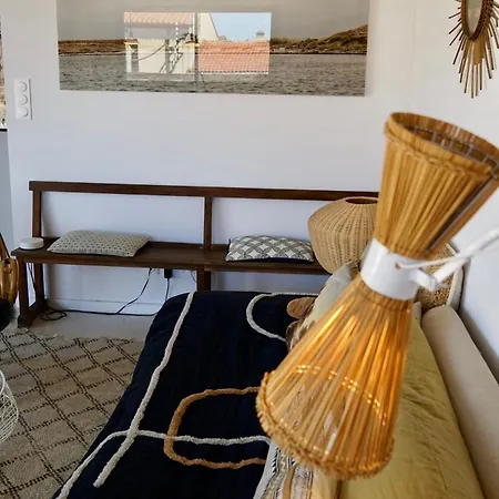 Nid Douillet Sur Roof Περπινιάν