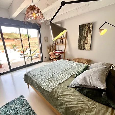 Nid Douillet Sur Roof Apartment Perpignan