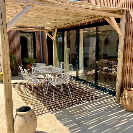 Nid Douillet Sur Roof Perpignan