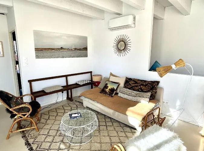 Nid Douillet Sur Roof