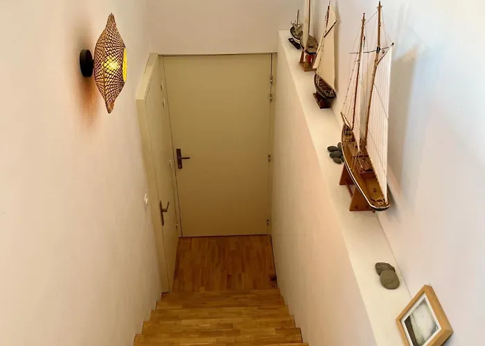 Nid Douillet Sur Roof *