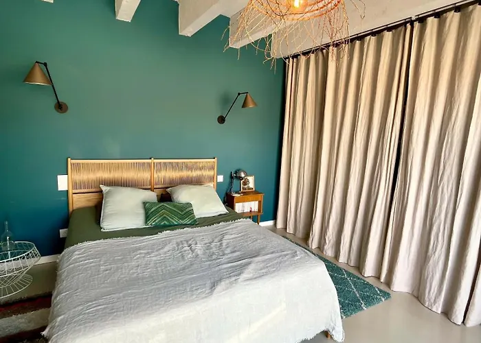 Nid Douillet Sur Roof Apartment Perpignan