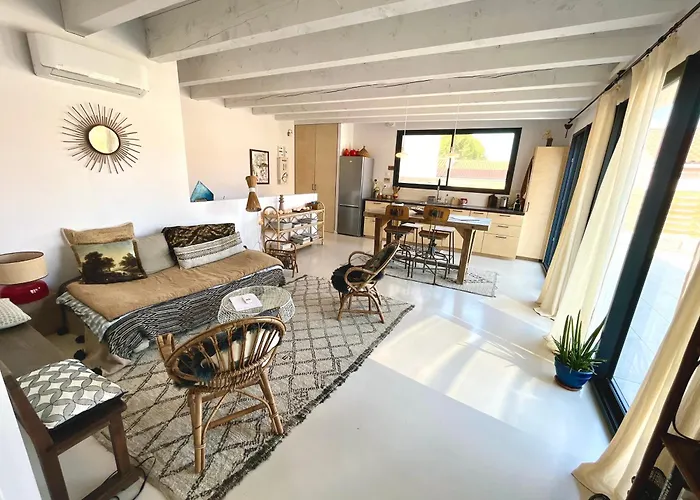 Nid Douillet Sur Roof Perpignan