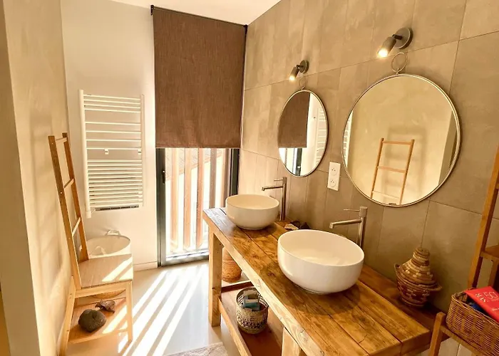 Nid Douillet Sur Roof Perpignan