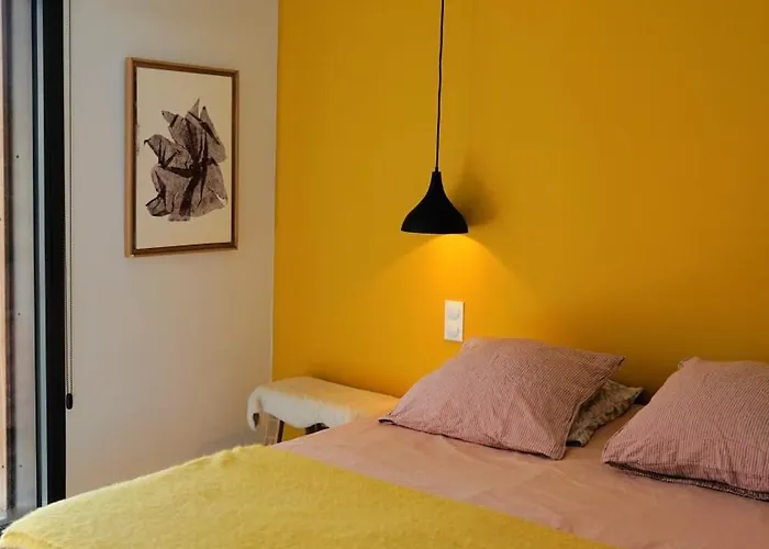 Nid Douillet Sur Roof Apartment Perpignan