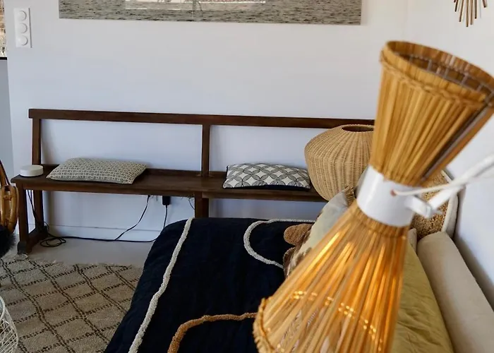 Nid Douillet Sur Roof Perpignan