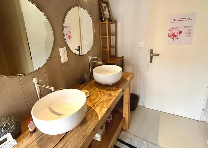 Nid Douillet Sur Roof * Perpignan