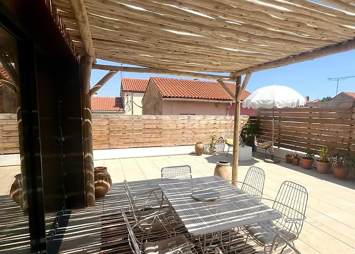 Nid Douillet Sur Roof *